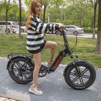 LED 디스플레이 20 &quot; 리튬 배터리 전기 자전거, 40 km/H 전기 여성의 자전거