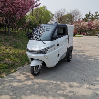 벨트와 수력 리튬 배터리 살찐 세발 자전거 전기 3 휠 세발 자전거